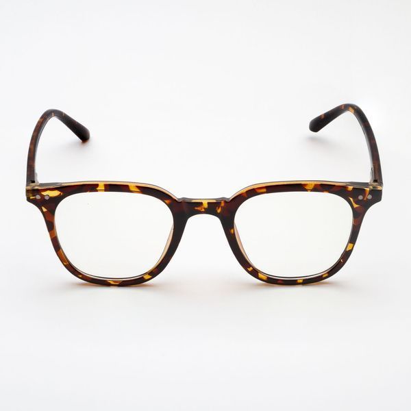 Окуляри для комп'ютера панто VisionPan леопардові R.TR6007.С3 фото