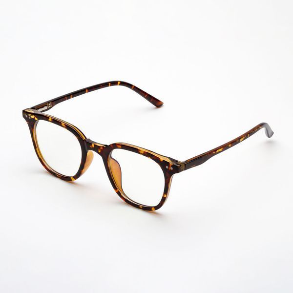 Окуляри для комп'ютера панто VisionPan леопардові R.TR6007.С3 фото